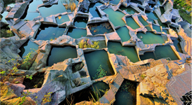 img03